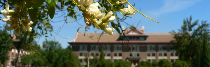 Main Building of Tianjin University Main Building of Tianjin University